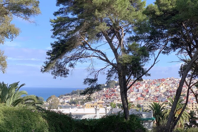 3h Private Walking Tour in Tangier Kasbah Medina & Colorful Souks - Why this Tangier walking tour works well