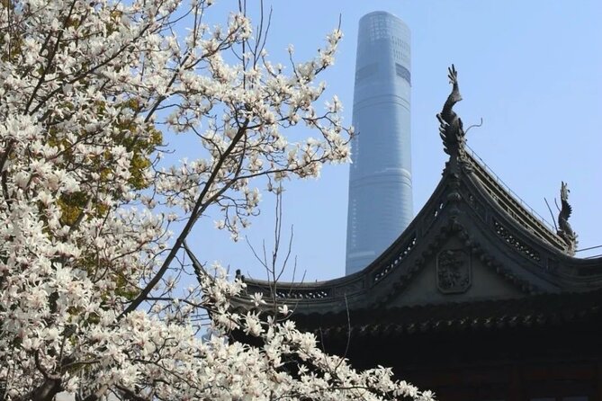 4-Hr Shanghai Layover Tour: Maglev, Wet Market, Food, Landmarks - Crossing the Nanpu Bridge