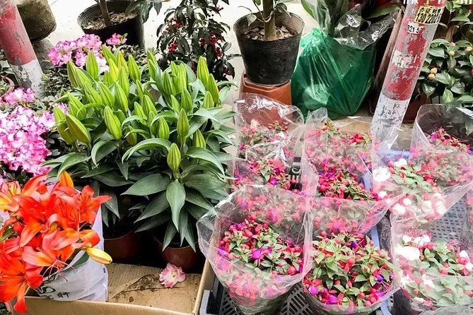 6-Hour Private Beijing Tour: Flower and Fish Market, Panjiayuan Antique Market and 798 Art Zone - Private transport makes the route easier
