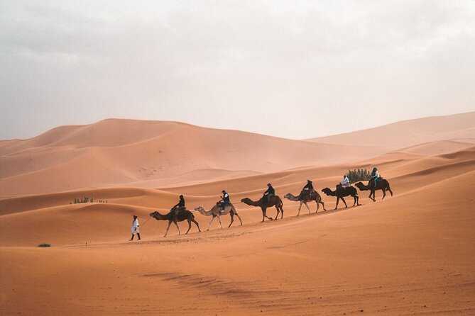 8-Hour Tour Giza Pyramids, Egyptian Museum and Cairo Bazaar - Khan Al Khalili: Cairo’s market after dark