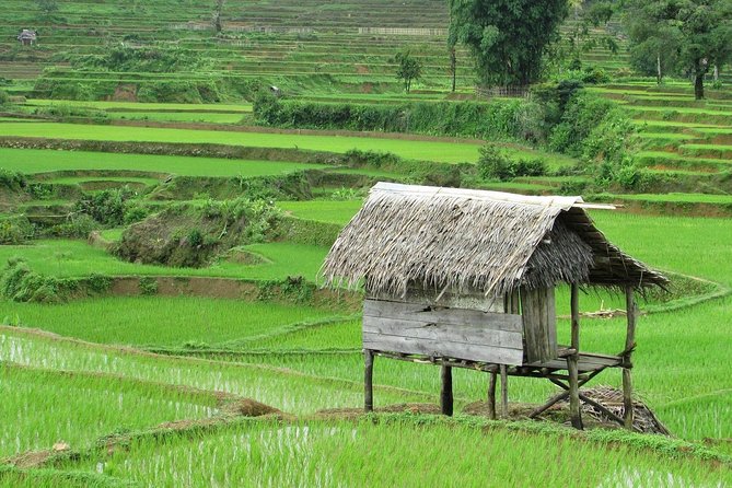 Active Volcano, Rice Field, Hot Spring, Fruit market, Tea Plantation with Lunch - Tangkuban Perahu, the day’s strongest stop