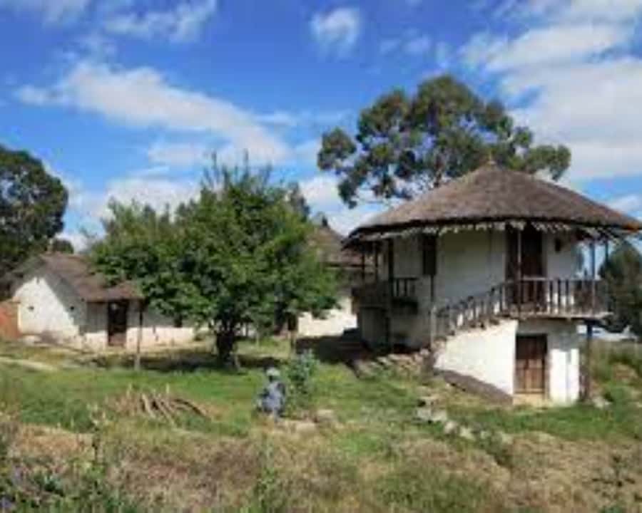 Addis Ababa: Entoto hill and Mercato Market layover tour - Why this Addis Ababa layover tour works