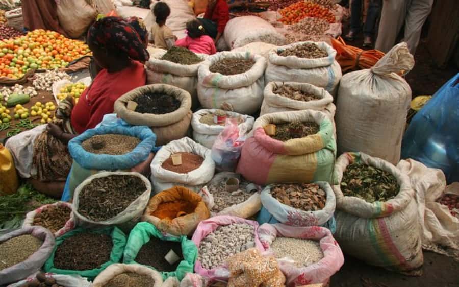 Addis Ababa: Entoto hill and Mercato Market layover tour - Starting at Entoto Hill above Addis Ababa