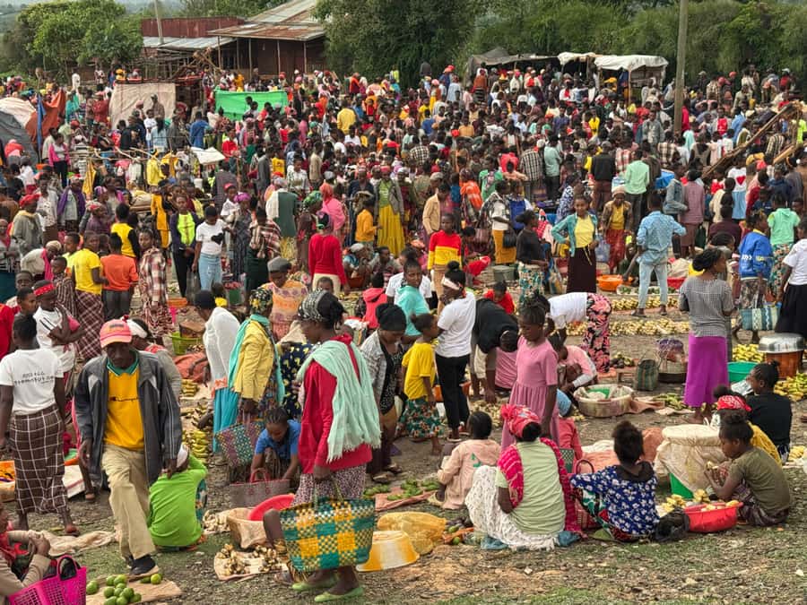 Addis Ababa: Mercato Market and Sightseeing Tour - Who will get the most from this tour