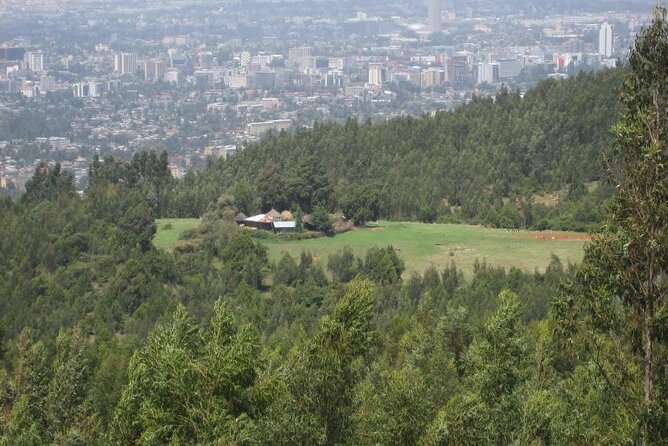Addis Ababa +Mount Entoto View Point,Museums Palace Market Tours - Is $65.55 a Fair Price?