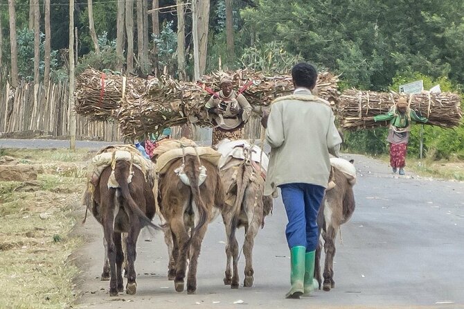 Addis Ababa +Mount Entoto View Point,Museums Palace Market Tours - Shiro Meda, Where Shopping Is Part of the Culture