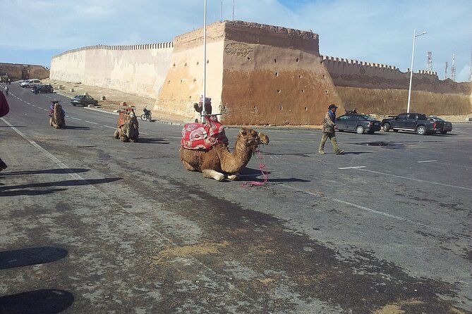 Agadir city tour and souk el had - Guide quality and the comfort of the ride