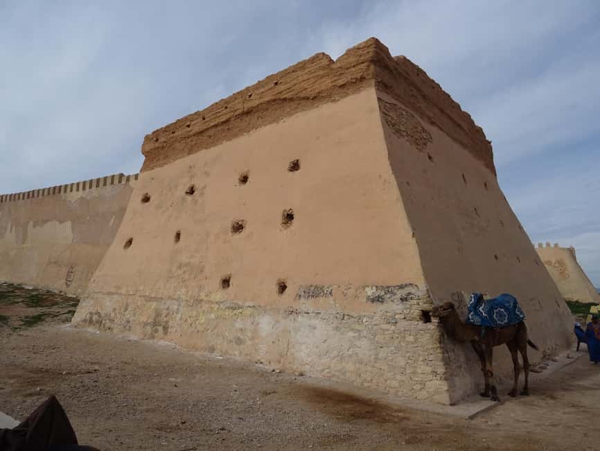 Agadir City Tour + Kasbah + Souk Market - Souk El Had, Agadir’s main market stop
