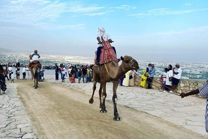 Agadir city Tour with big Souk Elhad - Souk El Had: One Hour Among Spices, Produce, and Everyday Goods