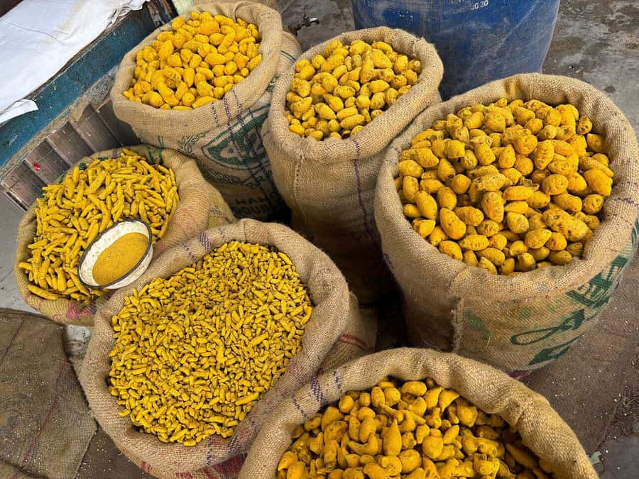 Agra: Street Food Tour with Spice Market on Tuk-Tuk Ride - Shopping stops and how to handle them