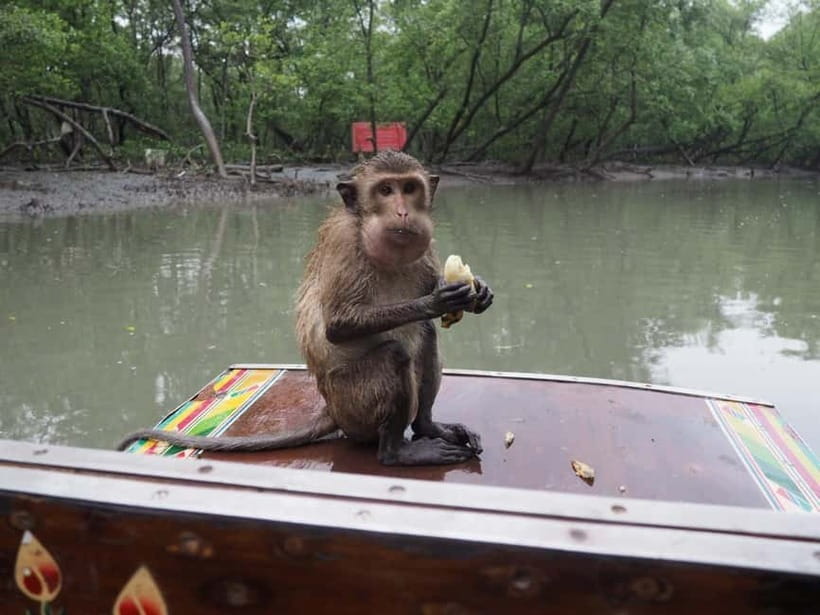 All-in-One Market Experience: Railway & Floating Wonders - How Much Value Do You Get for $170?
