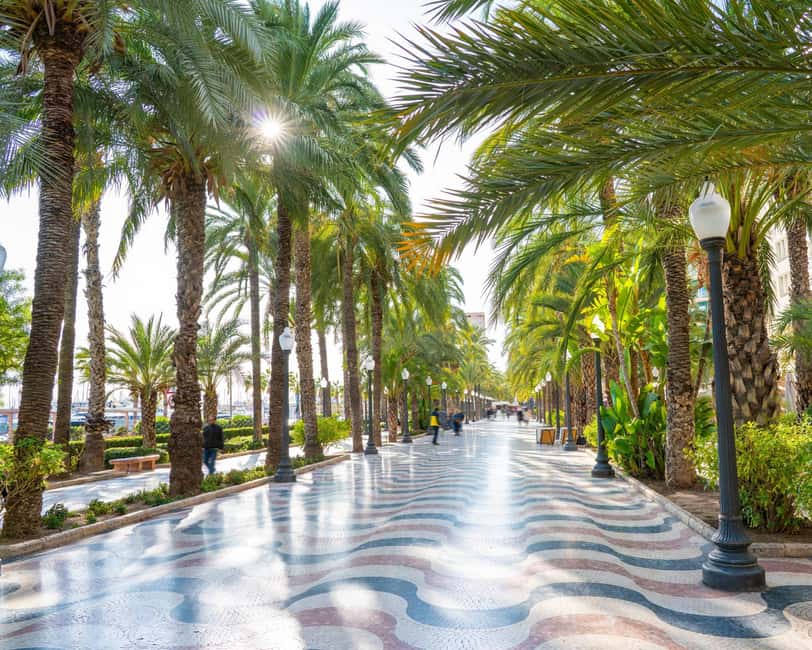 All of Alicante with the Castle, Market, and Tapas. Small group, max 6 people - Starting at City Hall and the seafront