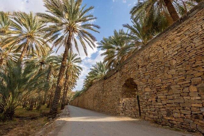 Amouage & Nizwa Full-Day Tour: Fort, Souq & Barakat Al Mouz - Birkat Al Mouz ruins and the palm groves