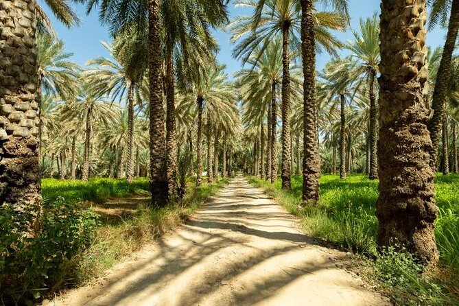 Amouage & Nizwa Full-Day Tour: Fort, Souq & Barakat Al Mouz - What the $170 price really covers