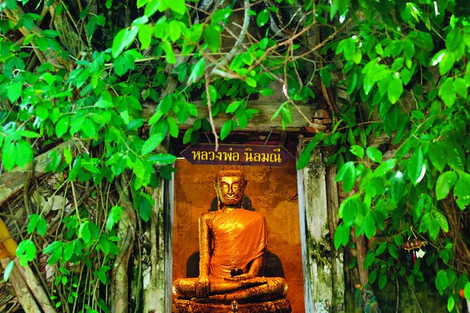 Amphawa Boat Ride & Railway Market: Multi-Lang Private Tour - Seeing the train pass through Mae Klong Market