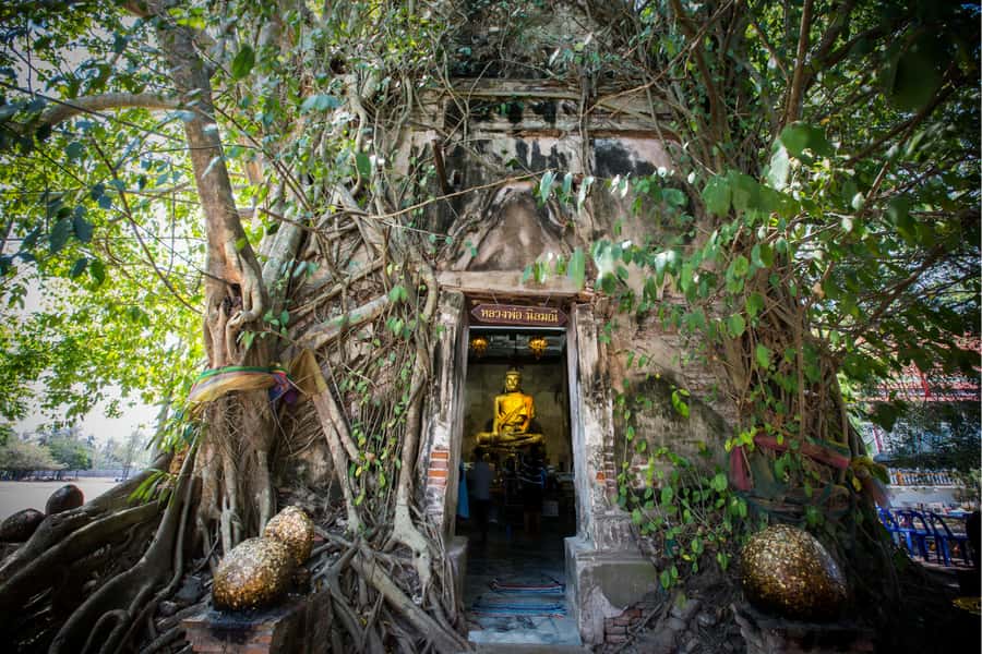 Amphawa & Railway Market & Boat Ride: from BKK - Ban Kalong Station and the approach to Maeklong