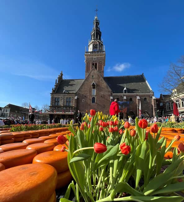 Amsterdam: Traditional Cheese Market Tour to Alkmaar - Key points to know before Friday