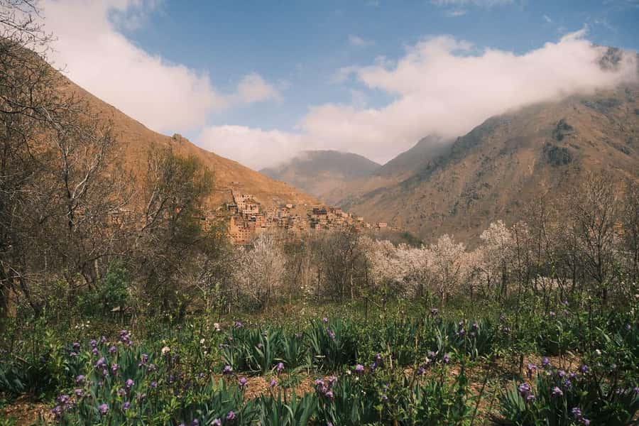 Atlas Mountains Day Trip: Market, Cooking & Village Walk - Shopping for lunch in Imlil market
