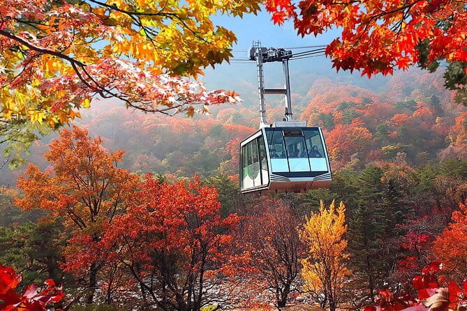 Autumn Foliage-Mt. Seorak, Sokcho Fish Market, Sokcho Beach - Key points to know before booking