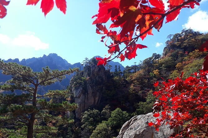 Autumn Foliage-Mt. Seorak, Sokcho Fish Market, Sokcho Beach - Starting in Seoul and crossing to Seoraksan