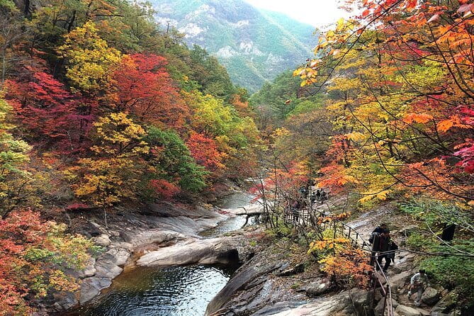 Autumn Foliage-Mt. Seorak, Sokcho Fish Market, Sokcho Beach - Five hours among Seoraksan’s autumn colors