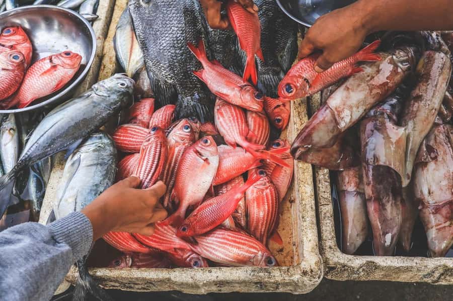 Bali: Jimbaran Seafood Market Tour with Sunset Dinner - From market stall to coconut-husk grill