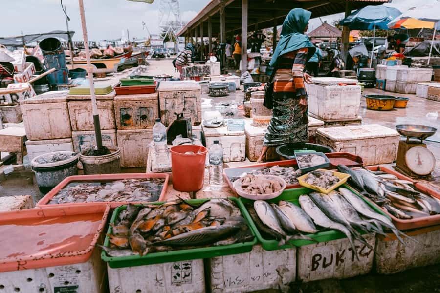 Bali: Jimbaran Seafood Market Tour with Sunset Dinner - Dinner as the sky changes over Jimbaran Bay