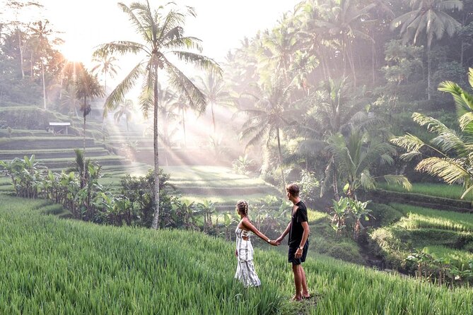 Bali Night Market Experience and Ubud Highlights tour - A long Bali day for $45.50