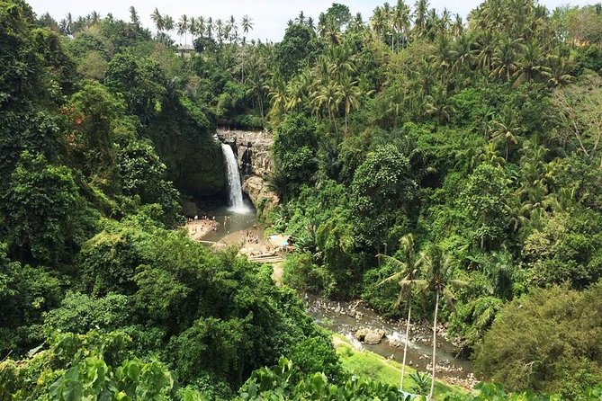 Bali Night Market Experience and Ubud Highlights tour - What the private guide adds