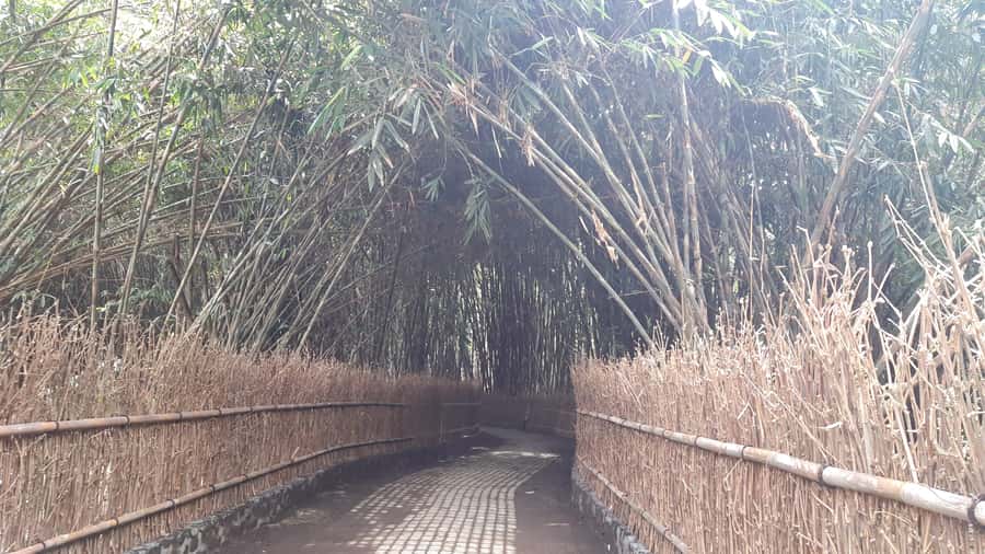Bali: Penglipuran Village, Waterfall, and Night Market Tour - Key points at a glance