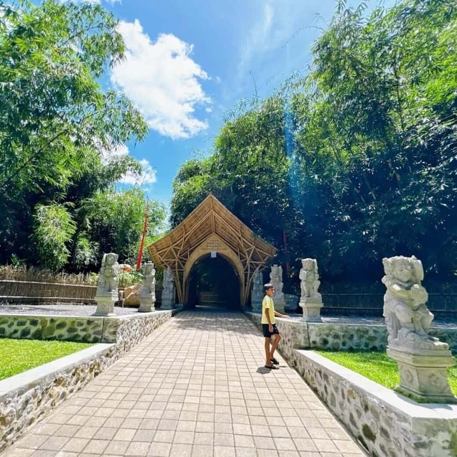 Bali: Penglipuran Village, Waterfall, and Night Market Tour - Walking beneath the Hutan Bambu