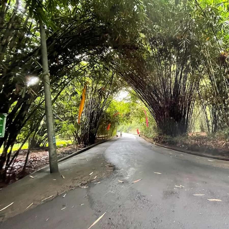 Bali: Penglipuran Village, Waterfall, and Night Market Tour - Pickup areas, timing, and what the $36 covers