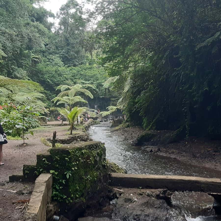 Bali: Penglipuran Village, Waterfall, and Night Market Tour - What to bring and how to prepare