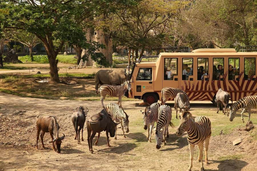 Bali: Safari Zoo and Ubud Palace and Market Day Tour - Three hours with animals at Bali Safari and Marine Park