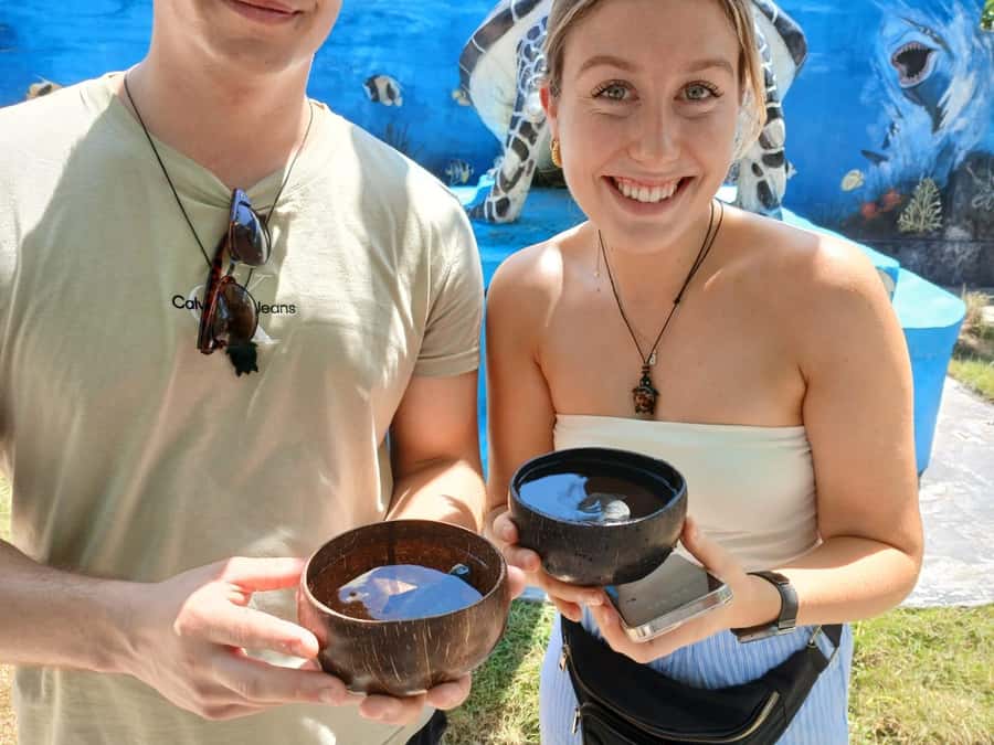 Bali: Turtle Conservation and Education Tour & Local Market - Should you book the turtle and market tour?