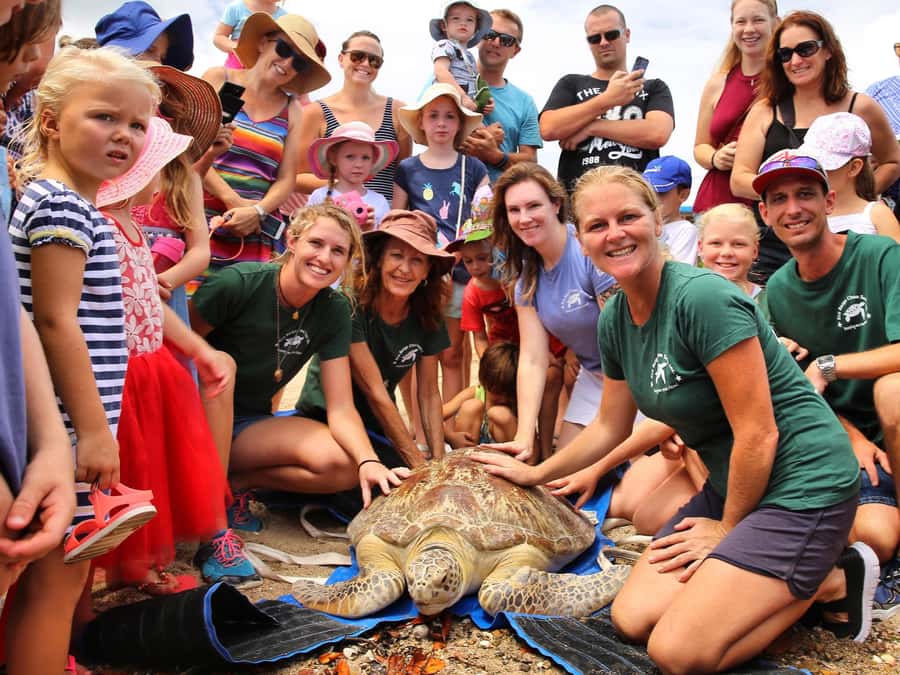 Bali: Turtle Conservation and Education Tour & Local Market - Badung Market is the most local part of the day