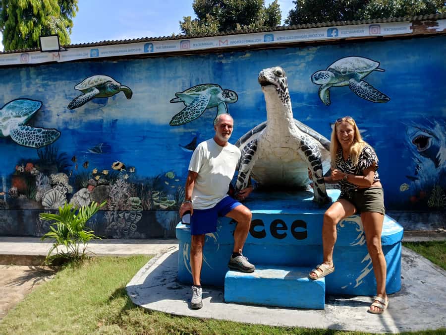 Bali: Turtle Conservation and Education Tour & Local Market - What the $58 group price really buys you