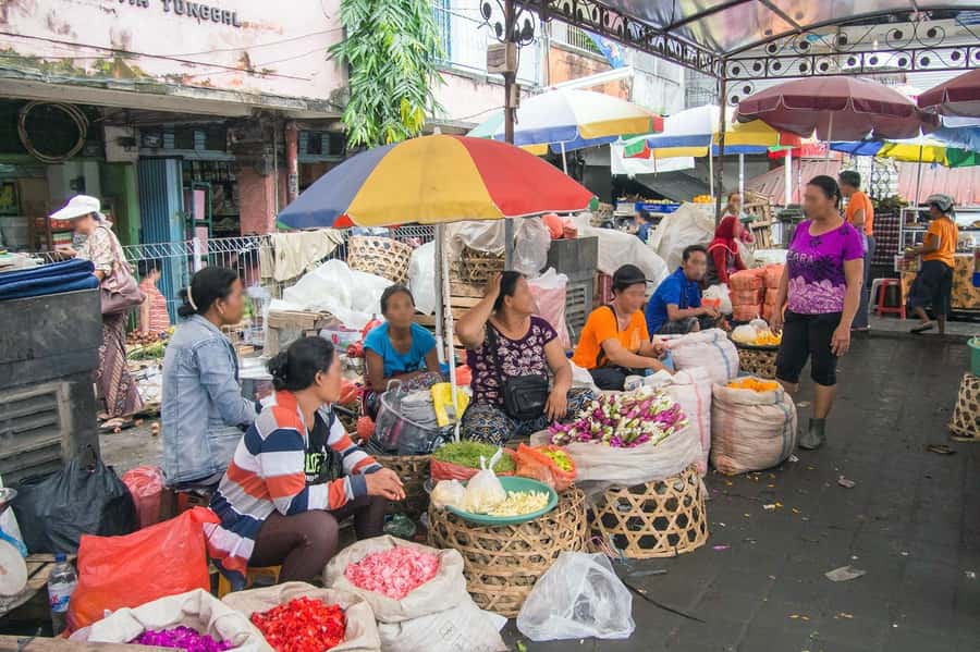 Bali: Turtle Conservation and Education Tour & Local Market - Who will enjoy this outing most
