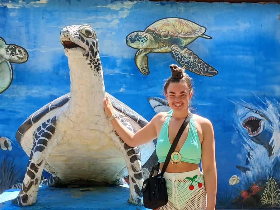 Bali: Turtle Conservation and Education Tour & Local Market - Simple ways to make the day better