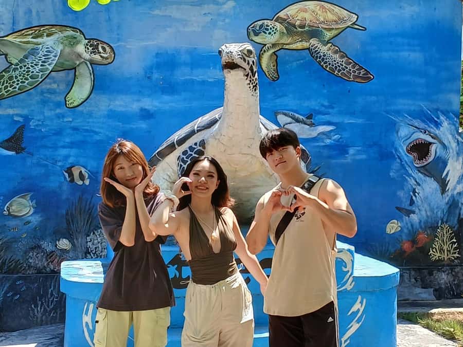Bali: Turtle Conservation and Education Tour & Local Market - A private car makes the six-hour plan easier