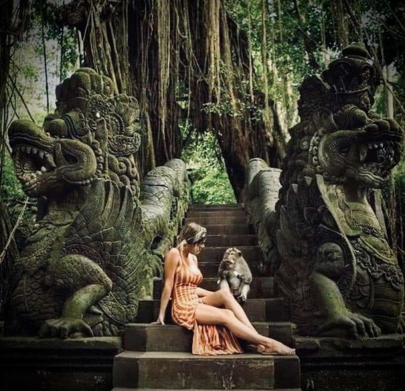 Bali: Ubud Monkey Forest, Coffee Plantation, and Market Tour - Meeting the Monkeys in Ubud’s Forest