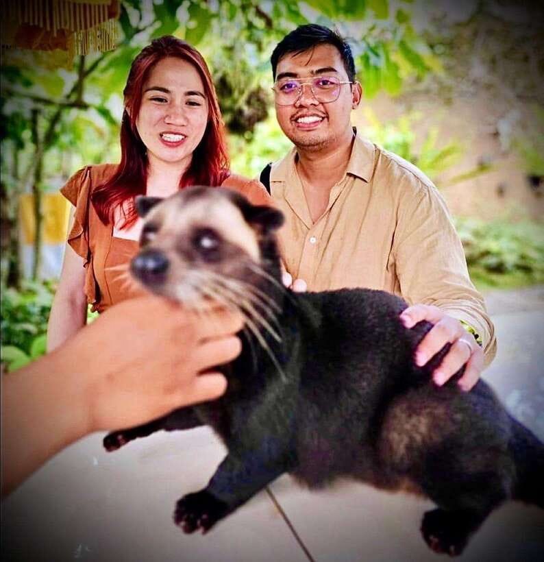 Bali: Ubud Monkey Forest, Coffee Plantation, and Market Tour - What the $42 Price Really Covers