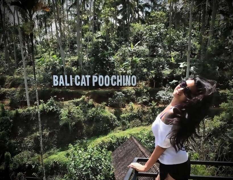 Bali: Ubud Monkey Forest, Coffee Plantation, and Market Tour - Who Should Book This Tour
