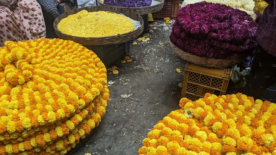 Bangalore Walking Tour KR Flower Market,Fort,Tippu palace - How the guides shape the experience