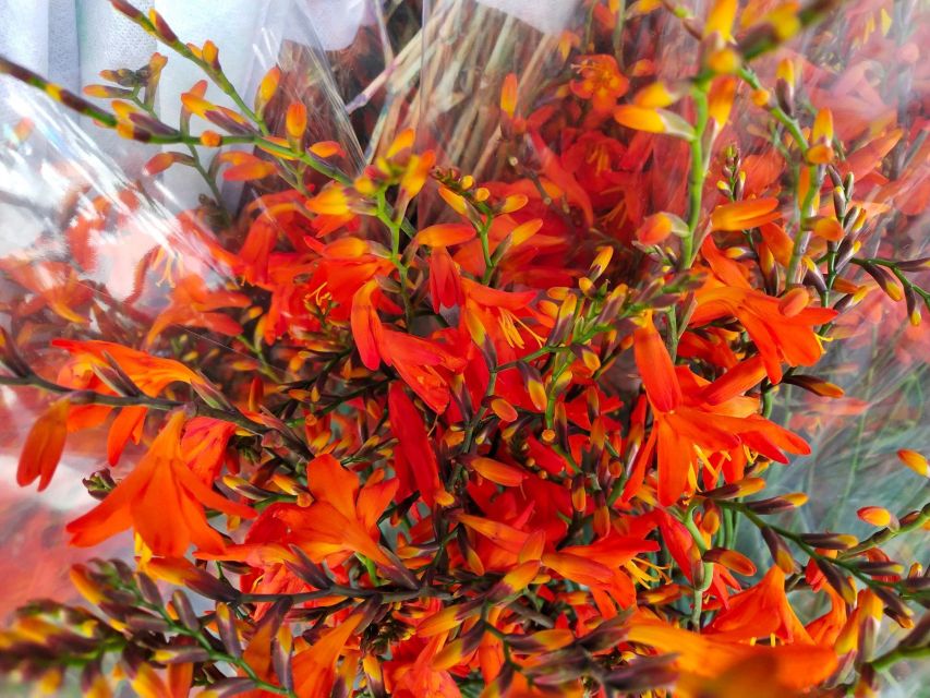 Bangkok:4Hour Flower Market and Little India Tour Mini Group - Finishing near Chinatown