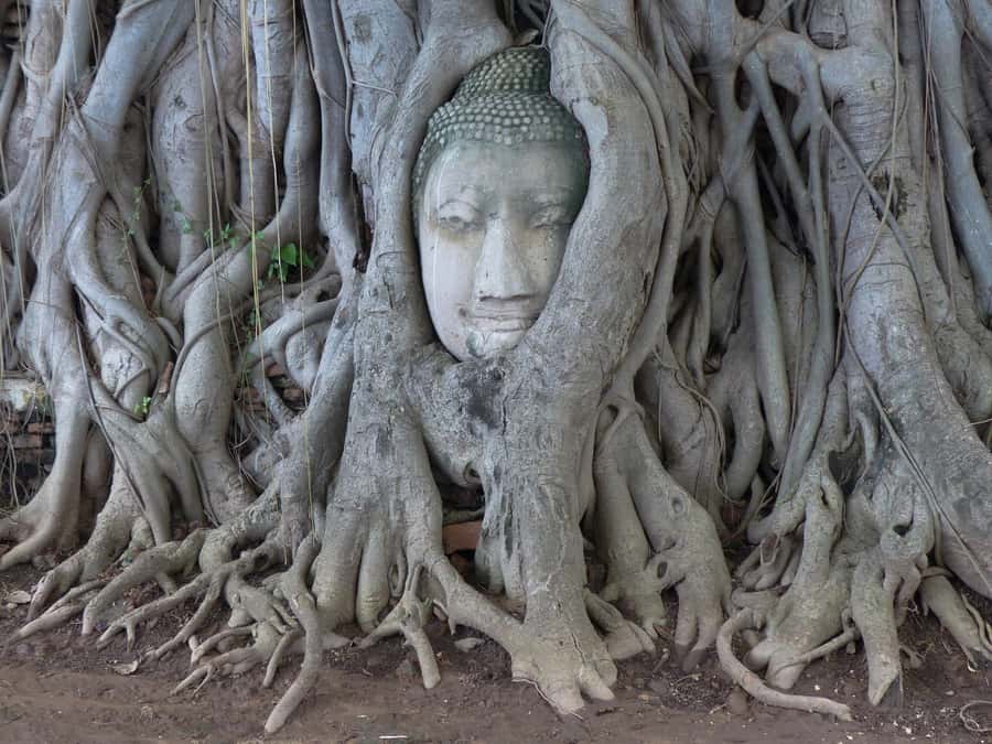 Bangkok: Ayutthaya & Local Market Tour In Spanish or English - Why Ayutthaya makes a good day trip from Bangkok