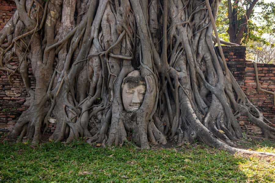 Bangkok: Ayutthaya, Railway & Floating Markets Full-Day Tour - Is $69 good value?