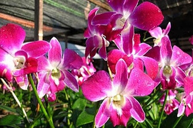 BANGKOK: Damnern Saduak Floating Market, Thai House - Why this tour works for a first visit