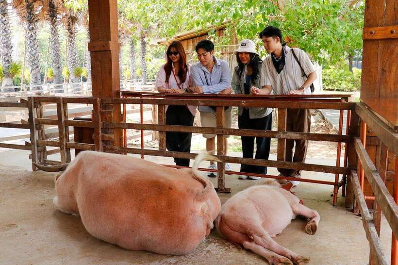Bangkok: Damnoen Saduak and Train Market with Boat Ride - Meeting at CentralWorld or using hotel pickup