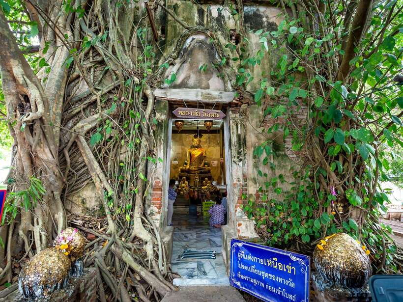 Bangkok: Maeklong Railway & Amphawa Floating Market Day Trip - The firefly boat ride after sunset